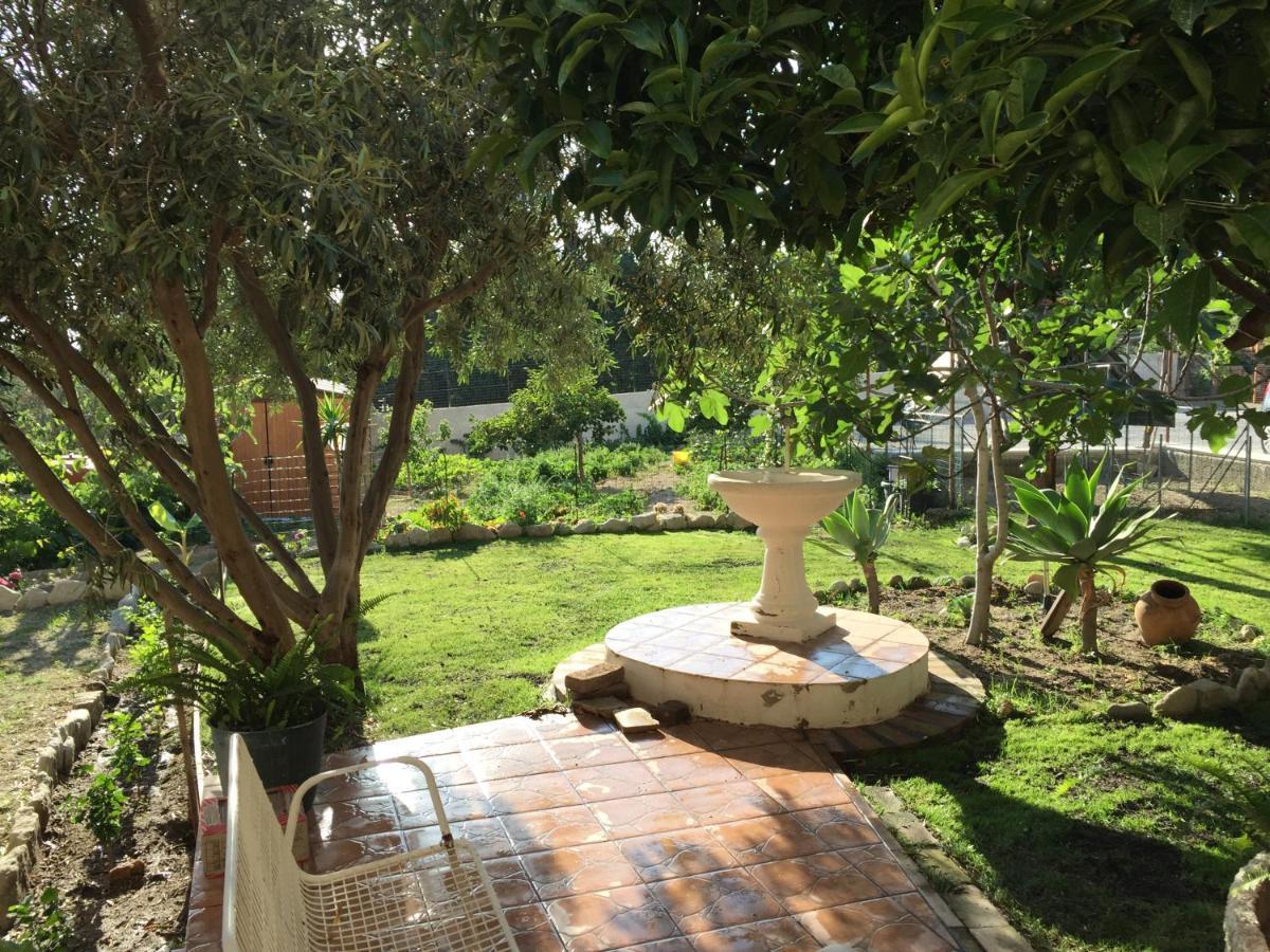 Lazzaro B&B Villa Magna Grecia מראה חיצוני תמונה