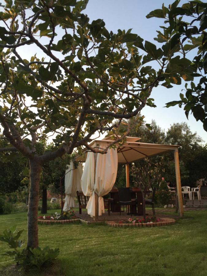 Lazzaro B&B Villa Magna Grecia מראה חיצוני תמונה