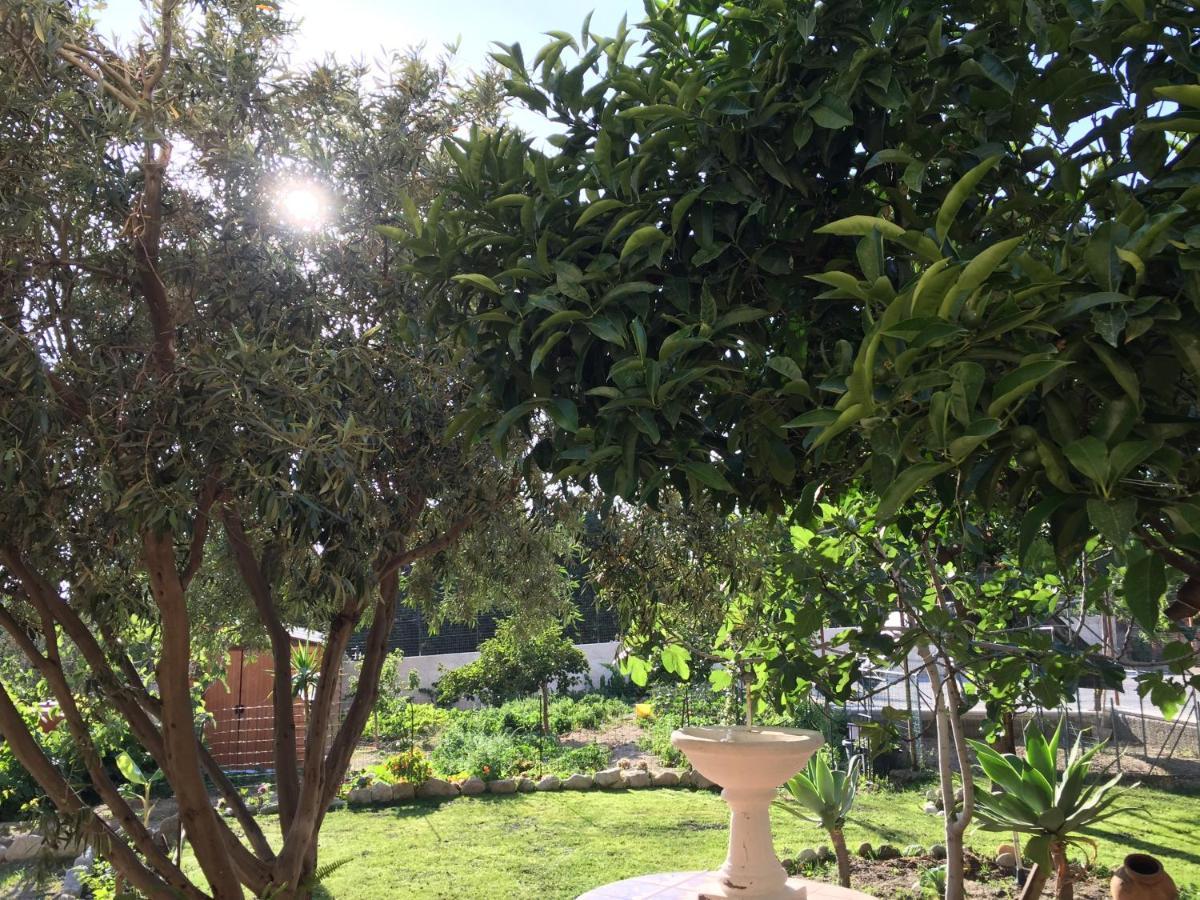 Lazzaro B&B Villa Magna Grecia מראה חיצוני תמונה